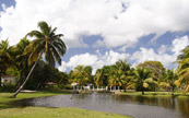 Magnifique Jardin Tropical en Guadeloupe